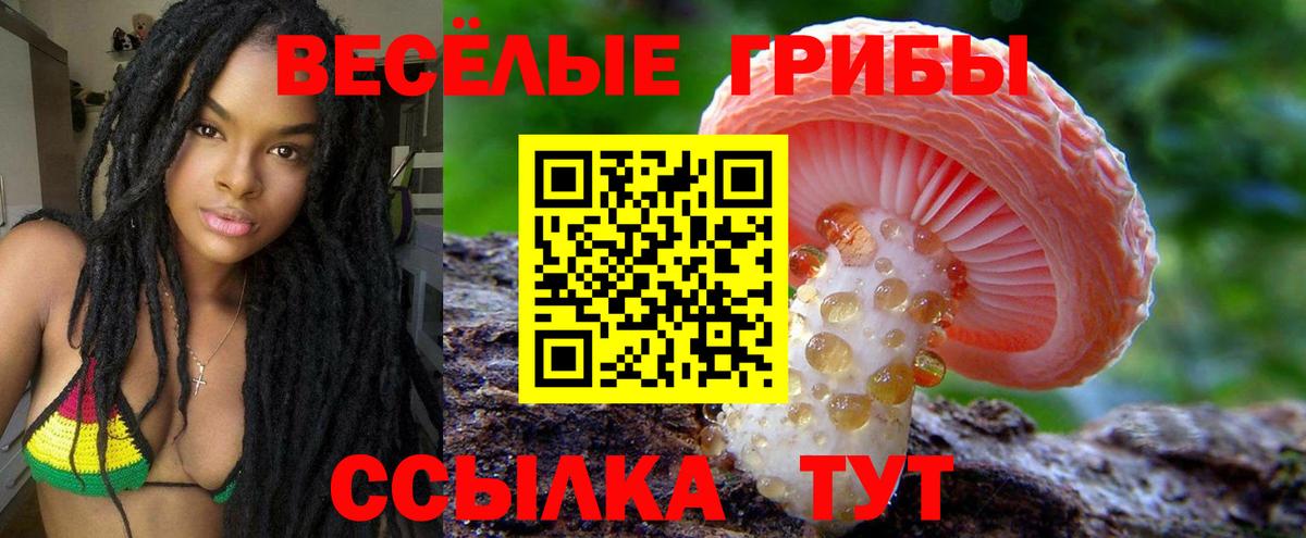 Галлюциногенные грибы мухоморы Котовск
