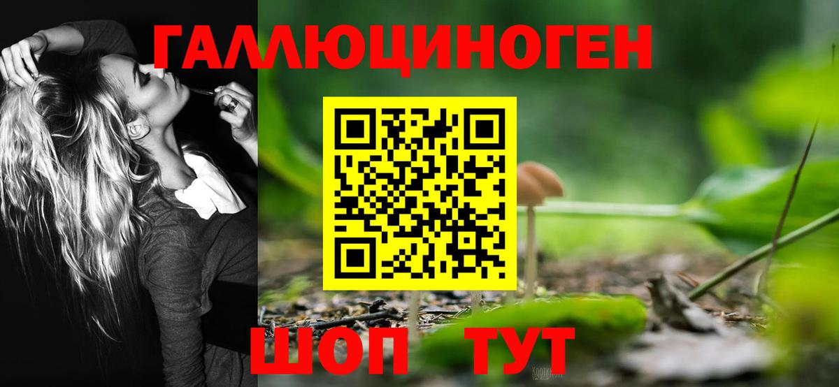 Котовск  Галлюциногенные грибы прущие грибы  Вход с VPN 